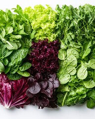 Fresh assorted leafy greens assortment