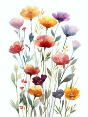 Fototapeta premium Delicate watercolor wildflowers in soft pastel colors featuring poppies and meadow blooms perfect for wedding invitations, greeting cards, and romantic spring designs.