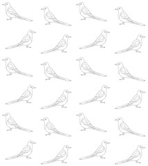 Vector seamless pattern of flat hand drawn outline magpie bird isolated on white background