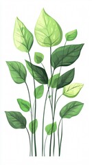 Lush Green Leaves Botanical Illustration: A minimalist nature-inspired design showcasing vibrant foliage and elegant simplicity on a clean background.