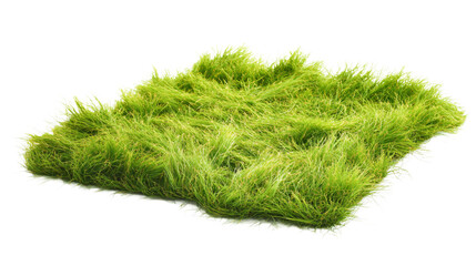 Patch of fresh green lawn grass, cut out