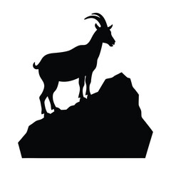 goat on white background