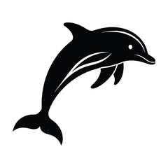 dolphin isolated on white background