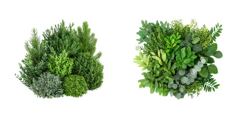 Naklejka premium A lush arrangement of various green plants showcasing diverse textures and shades of foliage.