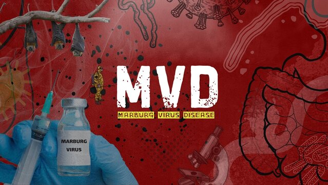 Marburg virus disease, Marburg virus disease (MVD), formerly known as Marburg haemorrhagic fever, is a severe