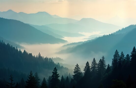 Misty morning view on mountain landscape. Thick fog covers valleys between misty hills. Dark silhouettes of pine trees on slopes. Peaceful, mysterious scenery. Ideal for travel, tourism themed