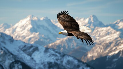 Majestic Eagle Soaring Over Snowy Mountains
