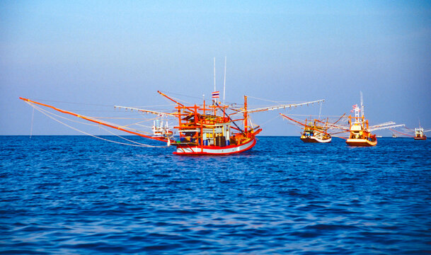 squid boats in the similan islands