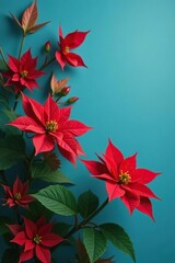 Red poinsettia against blue background with green leaves, flowers, red flowers, autumn leaves