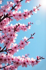 Blooming sakura tree branches against clear blue sky with sunlight filtering through, tree branches, sunlight, blooming trees