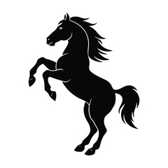 horse silhouette isolated on white