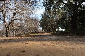 Hike through Bosque de Cobre near Malaga in Spain