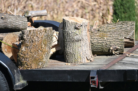 Logs on Trailer - Powered by Adobe