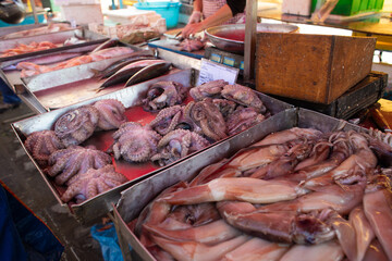 fresh marine species of cuttlefish and octopus on the counter