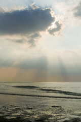 beautiful landscape of a sandy beach on the sea