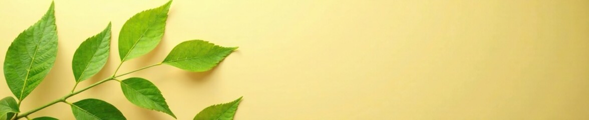 Obraz premium Delicate green leaves against a warm beige background, nature, abstract, beige