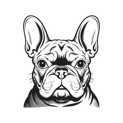 French Bulldog's Head. French Bulldog abstract and minimalist lineart design. French Bulldog Vector illustration.