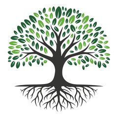 Fototapeta premium Green tree vector illustration featuring lush leaves and visible roots.