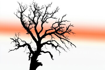 Fototapeta premium Silhouette of a leafless tree against a vibrant orange and white sky.
