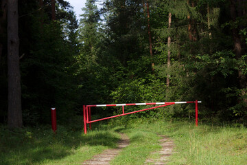no entrance gate to the wild forest in summer time