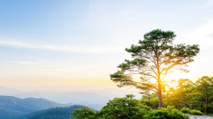 Obraz premium Sunset mountain landscape, single tree silhouette, peaceful scene, nature background, travel poster