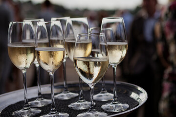 Glasses of  White Wine, Sydney, New South Wales, Australia