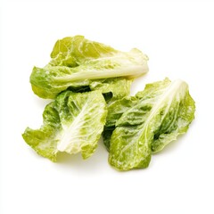 Fresh green lettuce leaves,Isolated on white background. 