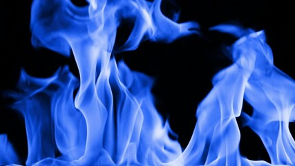 Gas burns with a bright blue flame. Beautiful dancing fire, Lots of fire. Blue fire is burning. Bright blue flames. A wall of real fire, abstract background. Super-slow motion video in 4K.
