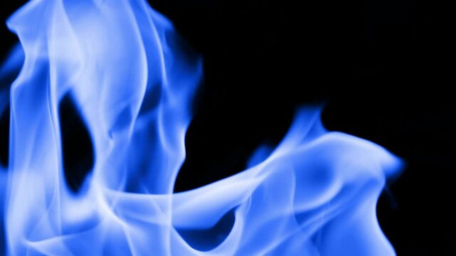 Gas burns with a bright blue flame. Beautiful dancing fire, Lots of fire. Blue fire is burning. Bright blue flames. A wall of real fire, abstract background. Super-slow motion video in 4K.