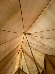 camping morning vibe