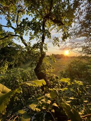 Peace of nature