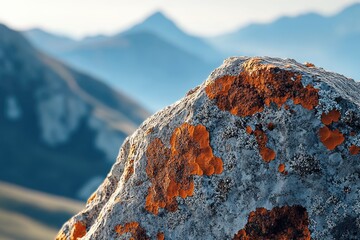 Fototapeta premium A close-up of a rock surface adorned with vibrant orange lichen against a blurred mountain backdrop.