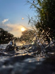 Wild water