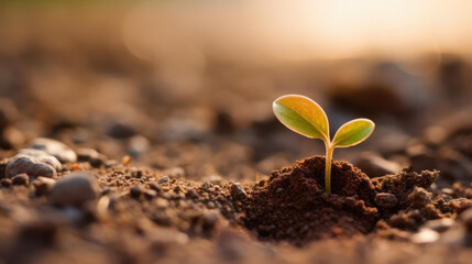 Explore how sustainable investing promotes ESG principles for a brighter future in finance and society.