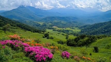 Mountain valley wildflowers summer landscape scenic view travel poster