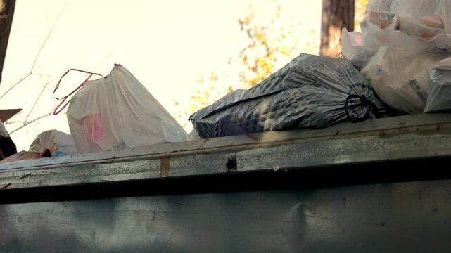Trash in trash can or dumpster