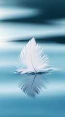 White feather floating on calm blue water with reflections, evoking a sense of peace.