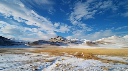 View Snowy Mountain Steppe