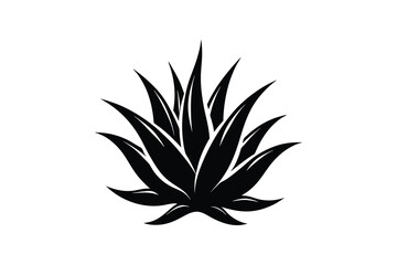 aloe vera silhouette, aloe vera icon, silhouette illustration vector  