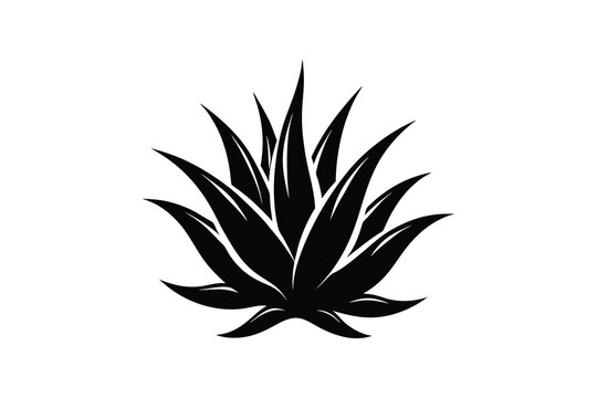 black agave plant logo on white clip art preview