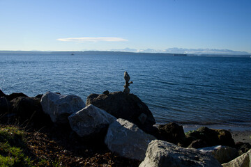 Stacked Rocks on a Cliff by the Ocean