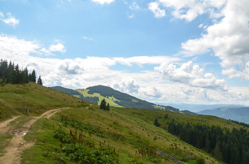 Beautiful view of a rolling hill landscape in lush greenery with vibrant skies and clouds, evoking a serene and natural atmosphere. Carpathian Mountains, Ukraine