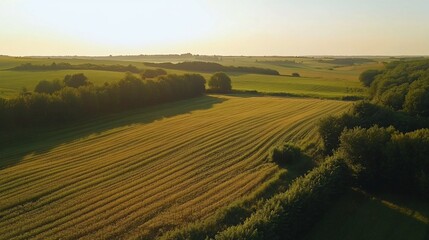 Obraz premium Aerial view of harvested field, sunset, rural landscape, agriculture, background