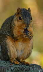 Snack time