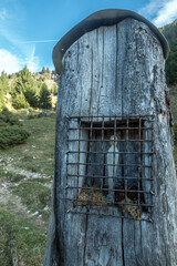 Statue de Vierge dans tronc d' arbre , Chablais ,Haute-Savoie , Alpes , France