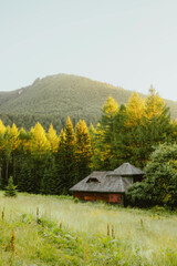 landscape in the mountains