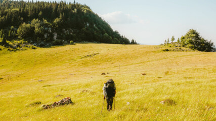 landscape in the mountains