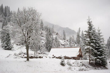 Snowy Landscape with Cabin and Trees in Winter. Zakopane Poland