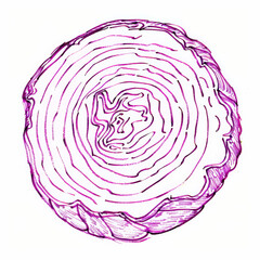 Obraz premium Sliced red onion illustration with detailed texture and vibrant color