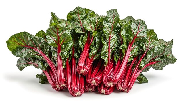 Vibrant ruby red Swiss chard leaves with deep green foliage and crimson veins